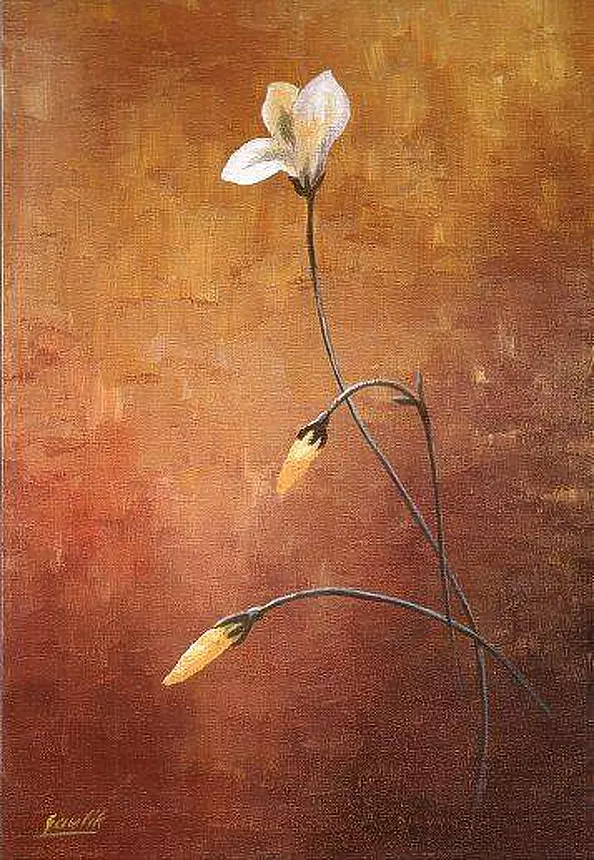 Ewa Gawlik - Kwiatuszki