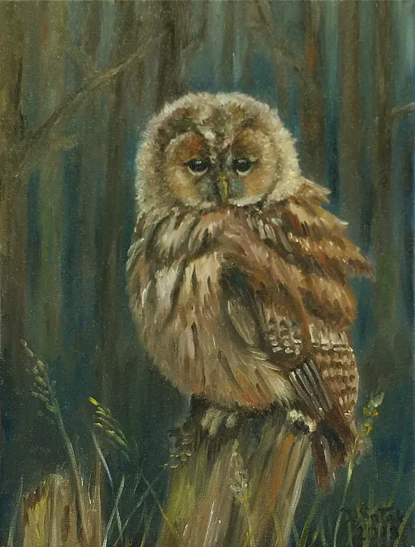 Iwonna Salak - Little owl