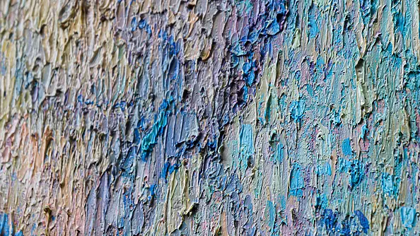 Andrey Chebotaru - Live chain of the Maidan