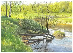 Michał Suffczyński - Liwiec River