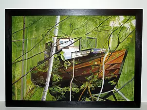   - Boat in the forest