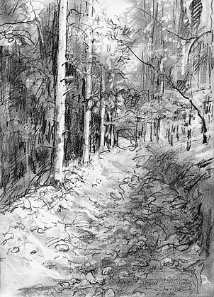 Witold Kubicha - Lomnica Zdroj