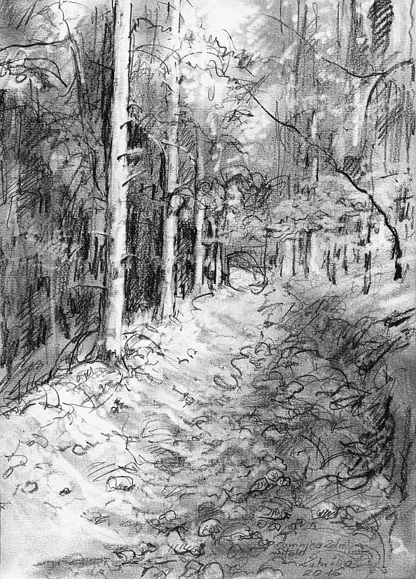 Witold Kubicha - Lomnica Zdroj