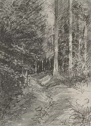 Witold Kubicha - Lomnica Zdroj