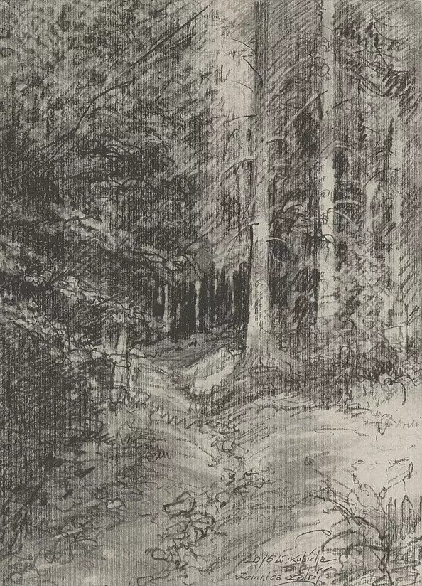 Witold Kubicha - Łomnica Zdrój