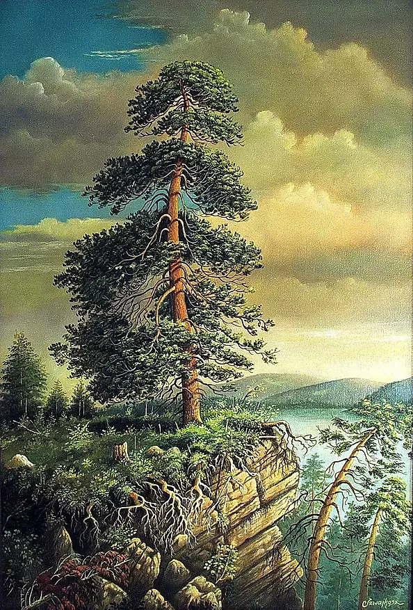 Czesław Szwajkosz - LONELY PINE