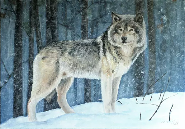 Iwonna Salak - Lonely wolf