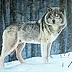 Iwonna Salak - Lonely wolf
