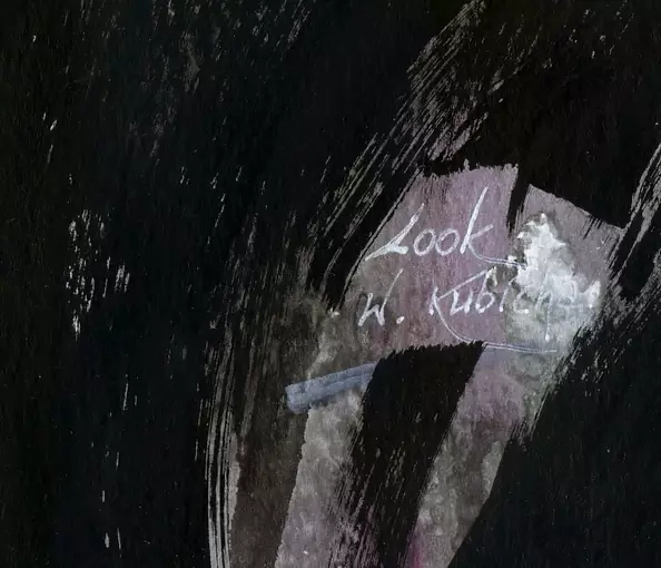 Witold Kubicha - Look