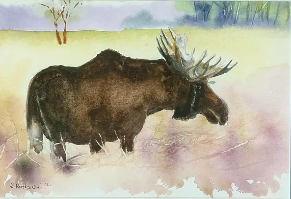 Zdzisław Rutkowski - Łoś /Elk/