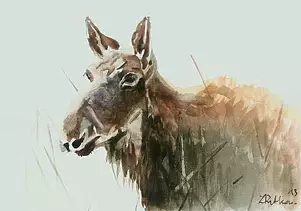 Zdzisław Rutkowski - Łoś
