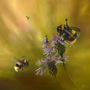 Agata Buczek - Bumblebee flight