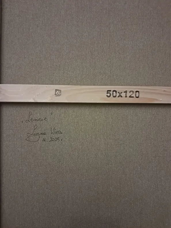 LUCYNA Wiech - The Shining