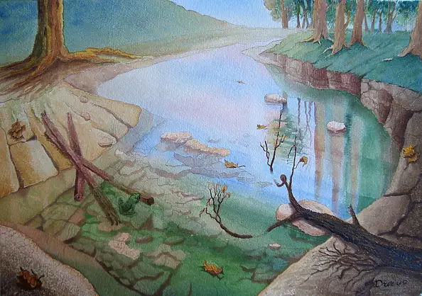 Silvano Drei - transparency