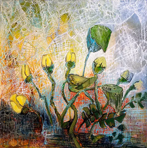 Anna Lupa Suchy - Arc