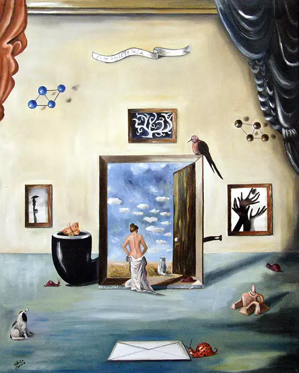 Valerio Savino - L`uso della gioia