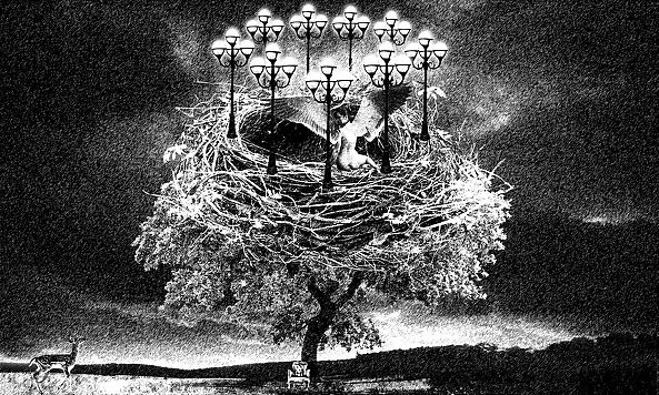 Adam Kurłowicz - Lux aeterna