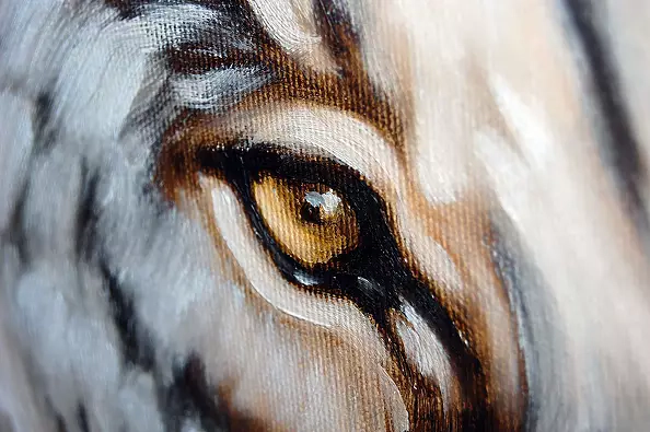 Amelia Augustyn - Lioness