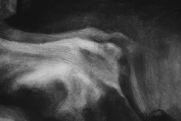 Kamila Ossowska - Tear