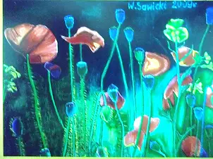 Wiesław Sawicki - MAKI