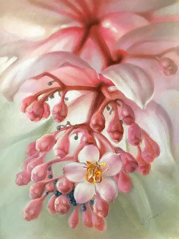 Maria Gruza - MEDINILLA