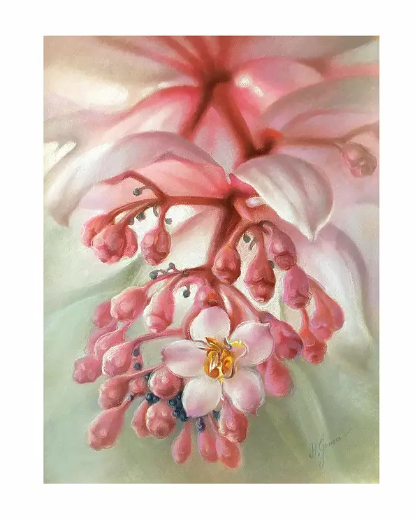 Maria Gruza - MEDINILLA