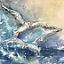 Bernadeta Nowak, SEAGULLS - BALTIC SEA, Watercolors, Gouache - paper, 29 x 21