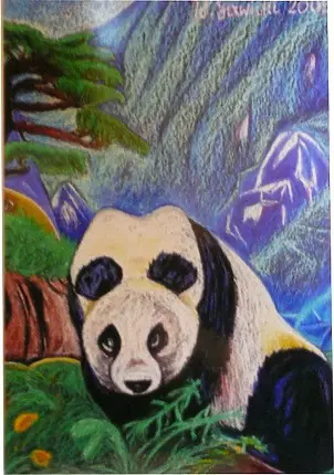 Wiesław Sawicki - misio PANDA