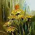 Dorota Łaz - Dandelions - Dandelions