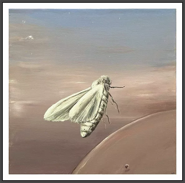 Andrzej Cybura - MOTH