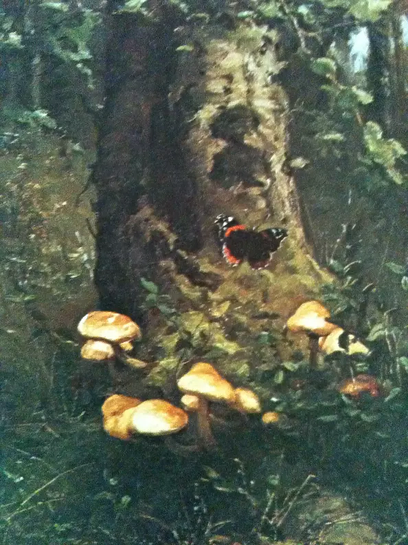 Marek Kubski - MOTYL NA DRZEWIE