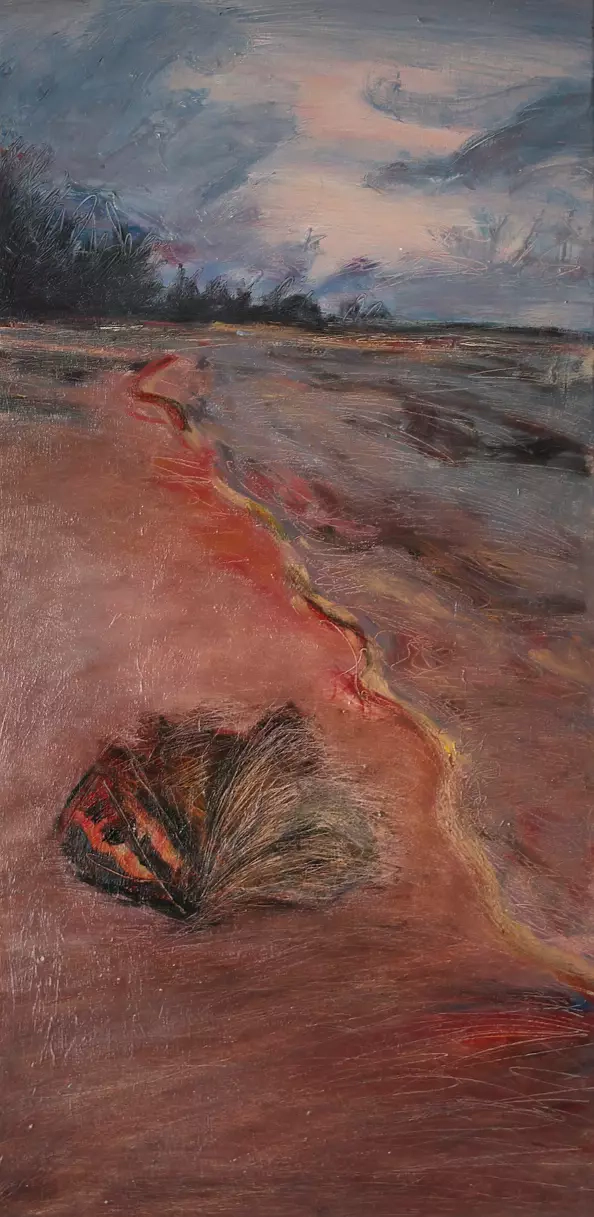 Agnieszka Kurlenda - SEASHELL