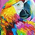 Olha Darchuk - Macaw Parrot