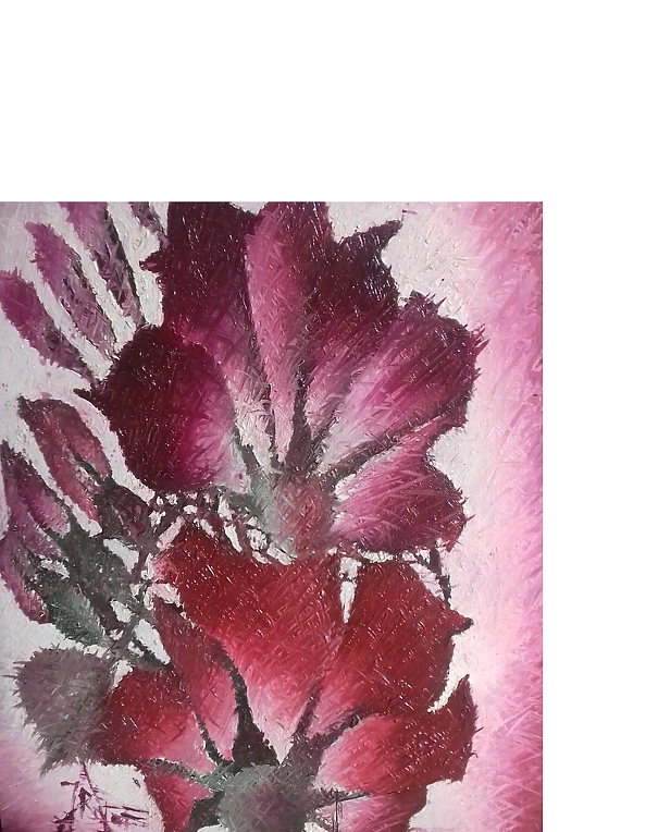 Rafał Jarosz - Maczki Różowawe Amnezji