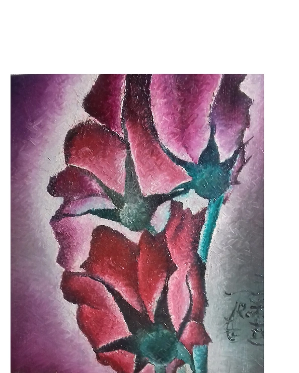 Rafał Jarosz - Maczki Układanki 