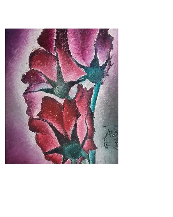 Rafał Jarosz - Maczki Układanki 