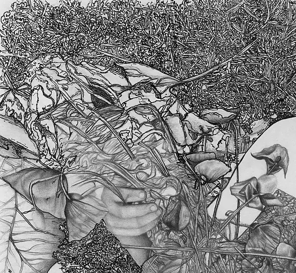 Agnieszka Osak - Mądrość Natury