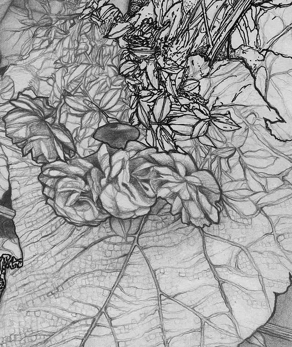 Agnieszka Osak - Mądrość Natury