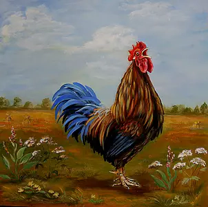 Katarzyna Niemczak - Maestro