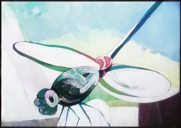 Anna Dmowska - Magic dragonfly