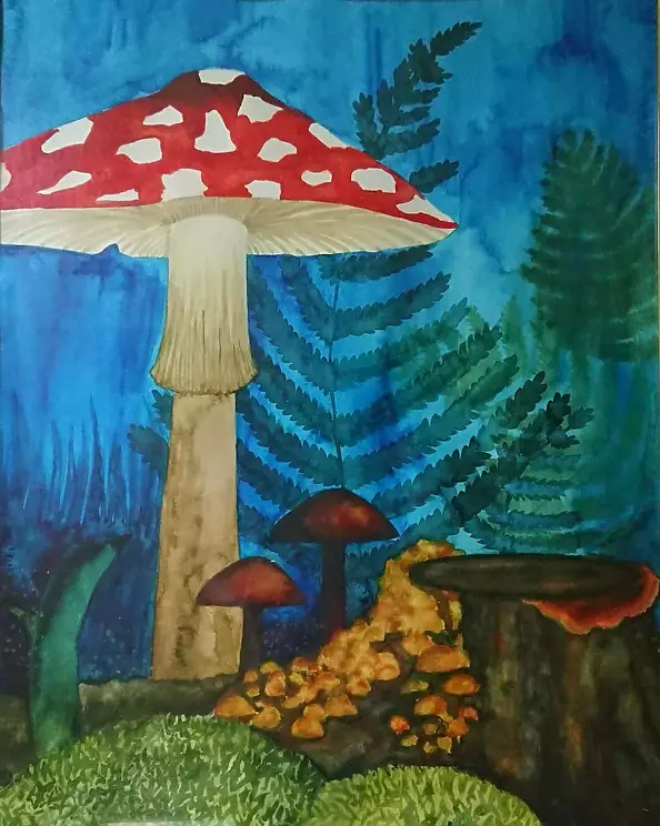 Klaudia Anuszczyk - Magic Forest