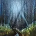 Sebastian Szczepański - Magic Forest