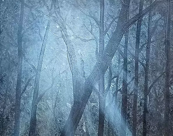 Sebastian Szczepański - Magic Forest