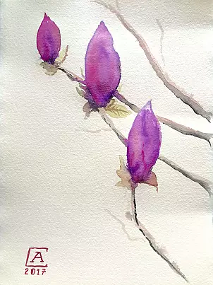 Artur Cieślar - Magnolia III