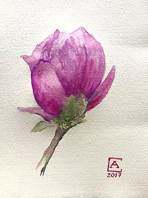 Artur Cieślar - Magnolia II