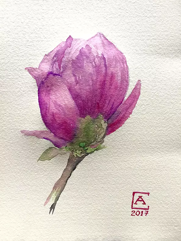 Artur Cieślar - Magnolia II