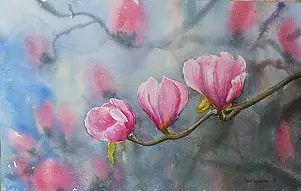 Karolina Majer - Magnolia