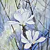 Magdalena Bronakowska - Magnolia