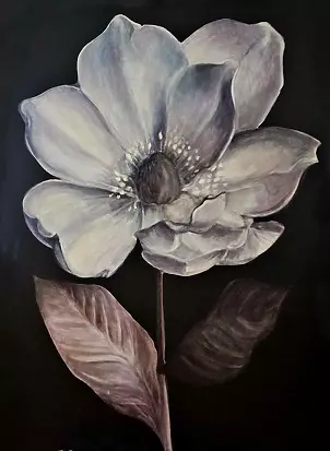 Maria Kuzak - Magnolia