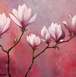 Małgorzata Mutor - Magnolias